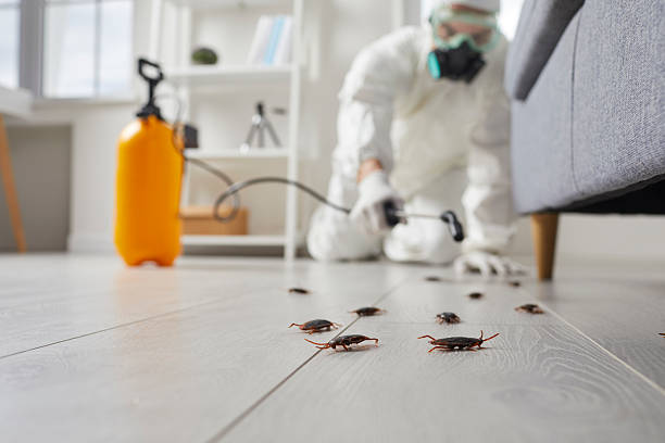 Commercial Kitchen Cockroach Control in Walcott